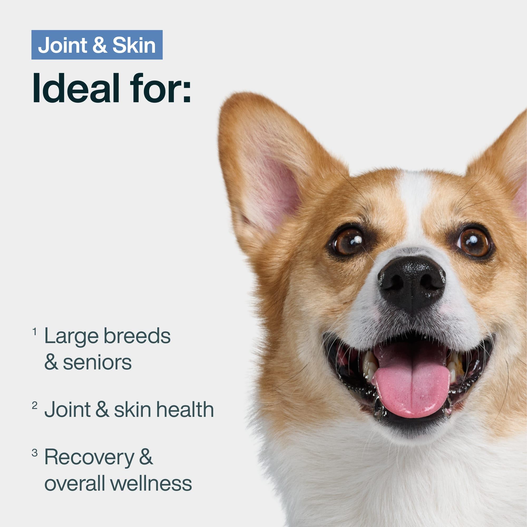 JustFoodForDogs Topper – mélange humide porc et quinoa, idéal pour varier les repas.