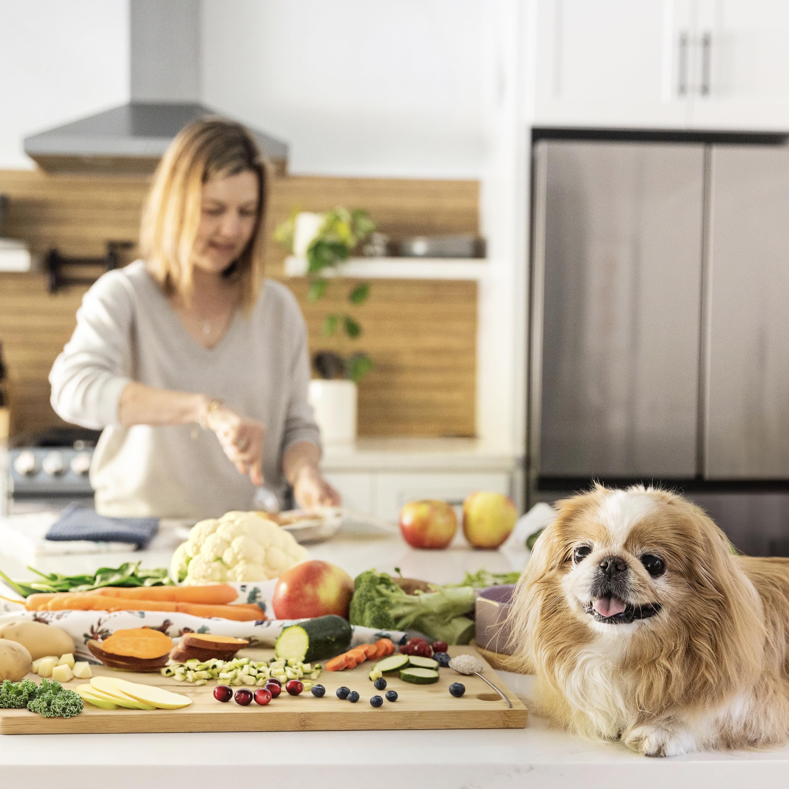 Topper alimentaire humain JustFoodForDogs, hydratation et nutriments ajoutés.