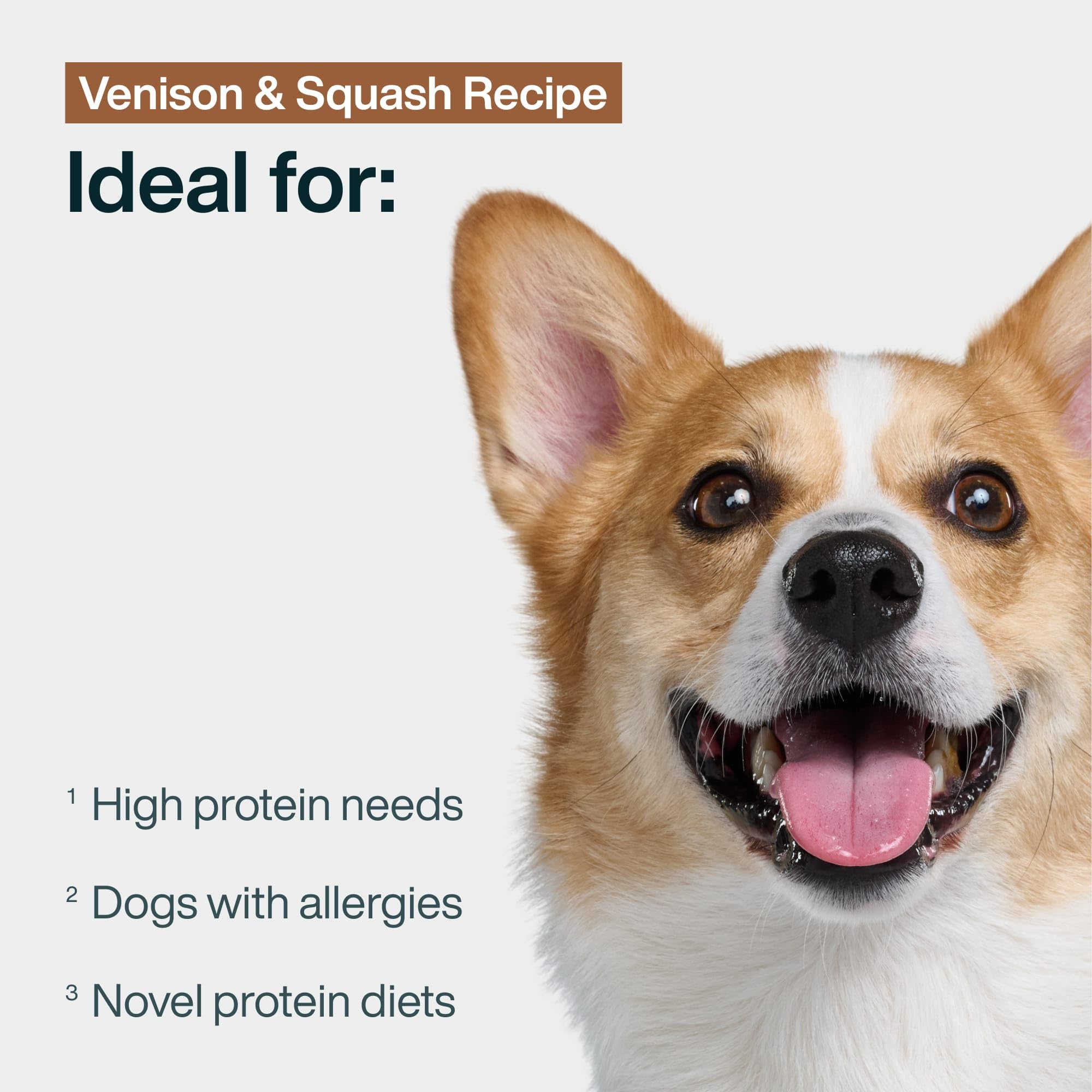 JustFoodForDogs venaison-courge portion glacée, pratique comme topper ou repas.