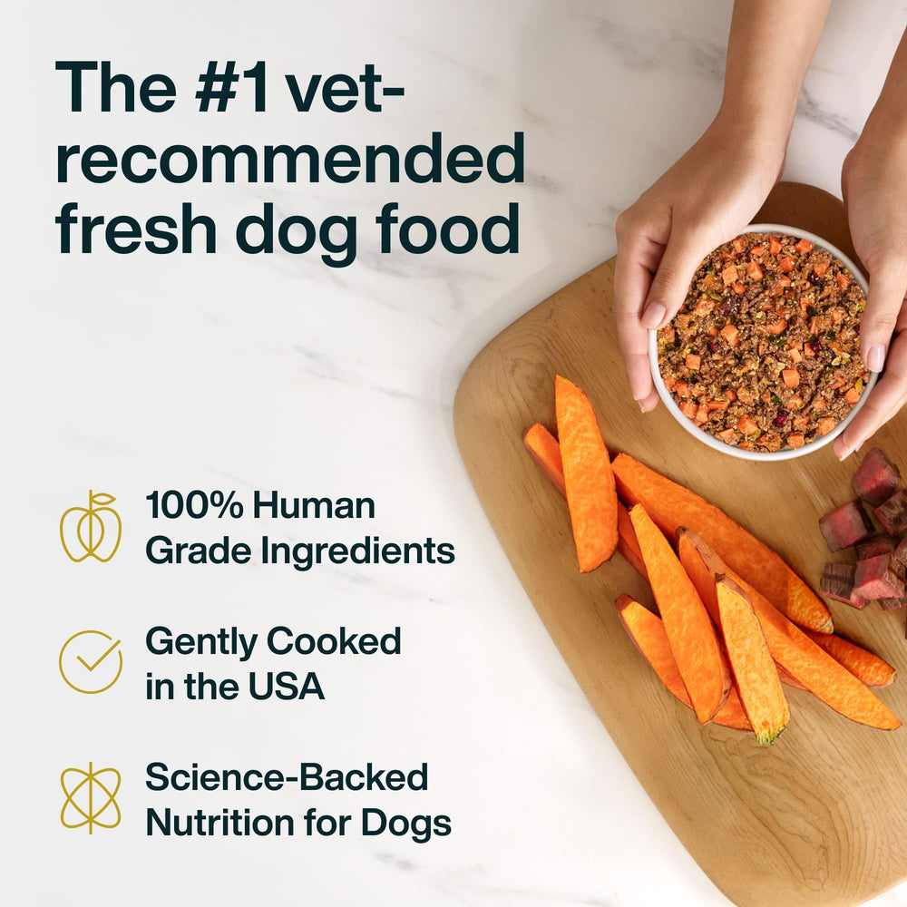 JustFoodForDogs venaison-courge sachet congelé, cuisson légère et absorption optimisée.