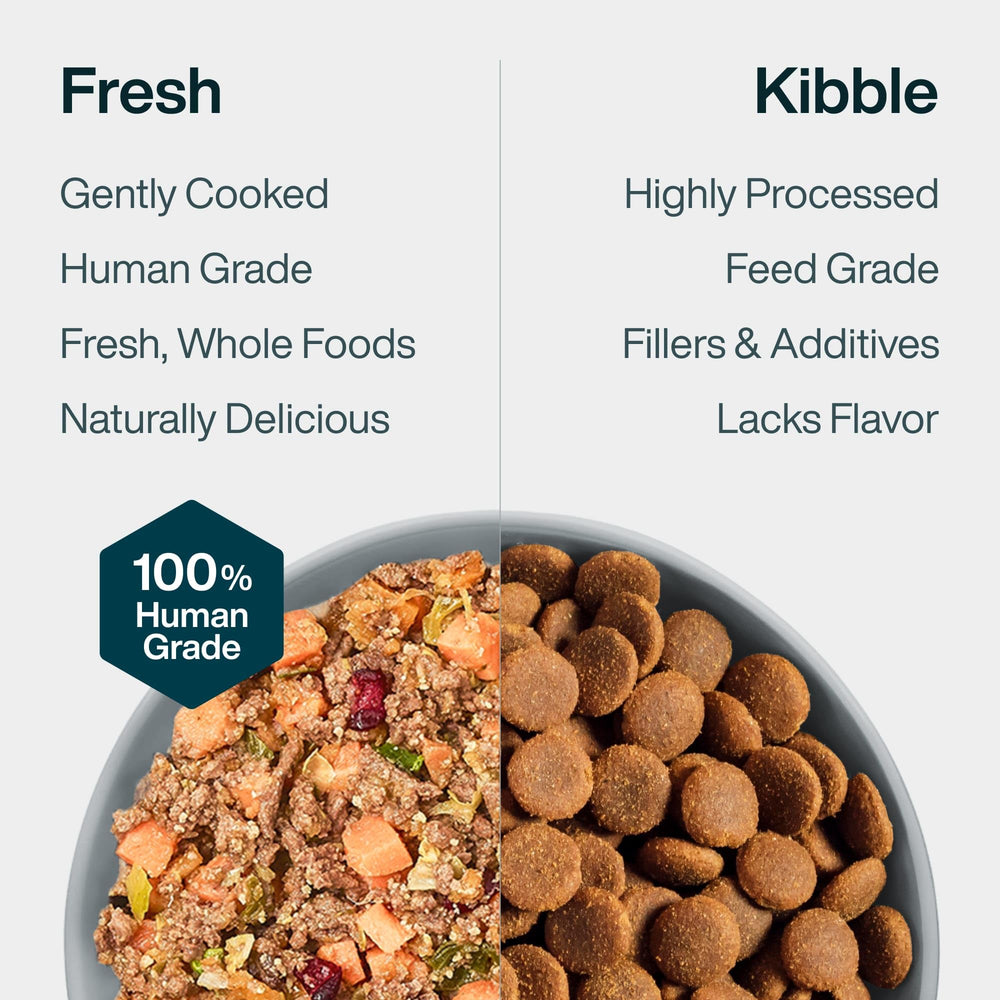 JustFoodForDogs venaison-courge texture fraîche, douceur adaptée aux chiens sensibles.