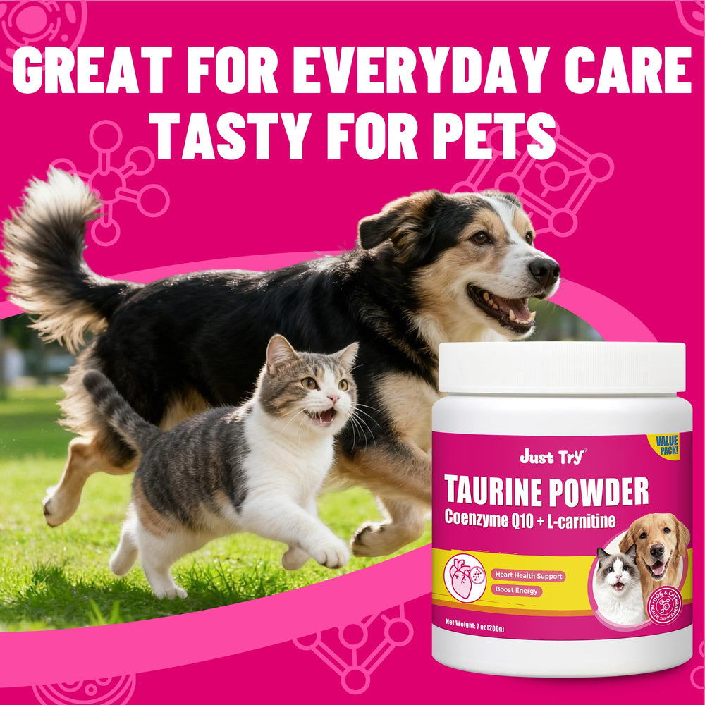 Just Try Taurine CoQ10: mélange facile à intégrer dans l’alimentation.