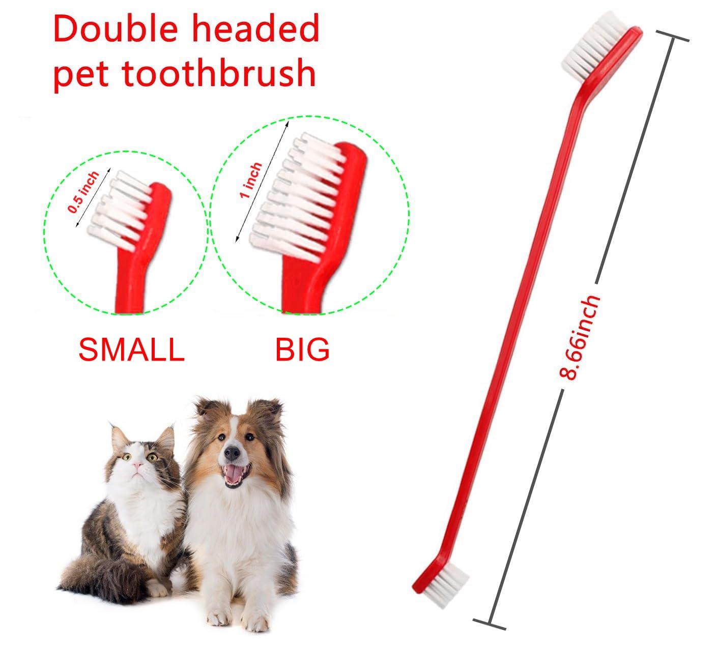 Brosse dentaire JUWANTU double tête adaptée pour petits et grands chiens.