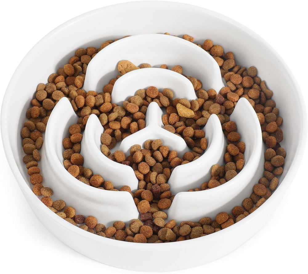 JuWow bol ceramique mangeoire-lente 8-pouces pour chien moyen, repas plus lent et plus sûr.