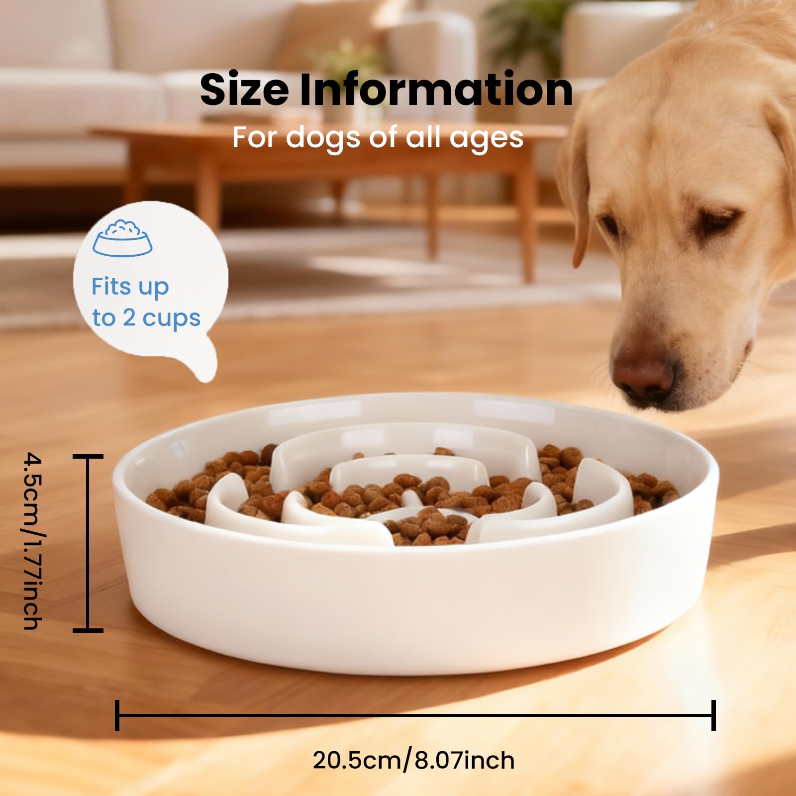 JuWow bol ceramique motif labyrinthe ralentissant l-ingestion pour des repas plus calmes.