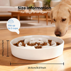 JuWow bol ceramique motif labyrinthe ralentissant l-ingestion pour des repas plus calmes.