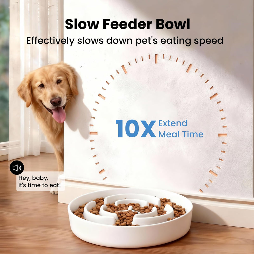 JuWow bol ceramique Pour chien de taille moyenne pendant les repas.