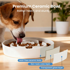 JuWow bol ceramique solide et stable, idéal pour repas calmes et sans glissements.