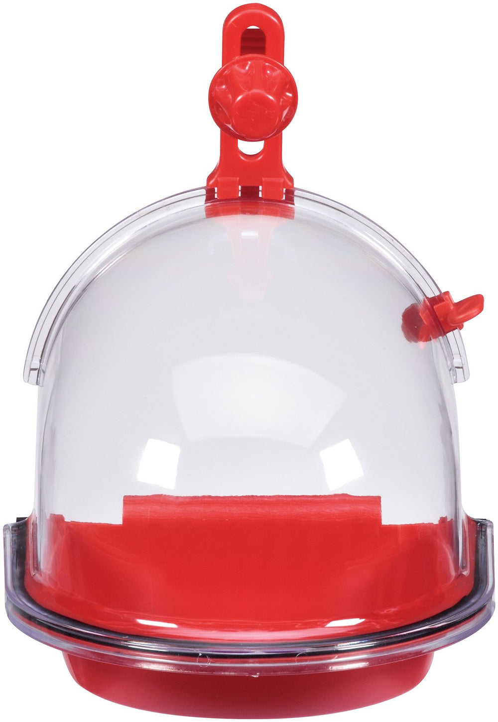 JW Insight : couvercle translucide pour observer le bain sans déranger le perroquet