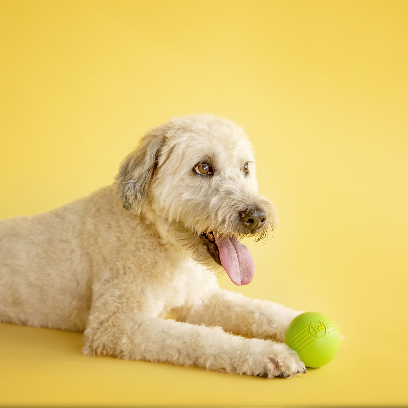 Balle JW Pet sifflement grande noire: durable pour jeux dehors et dedans.