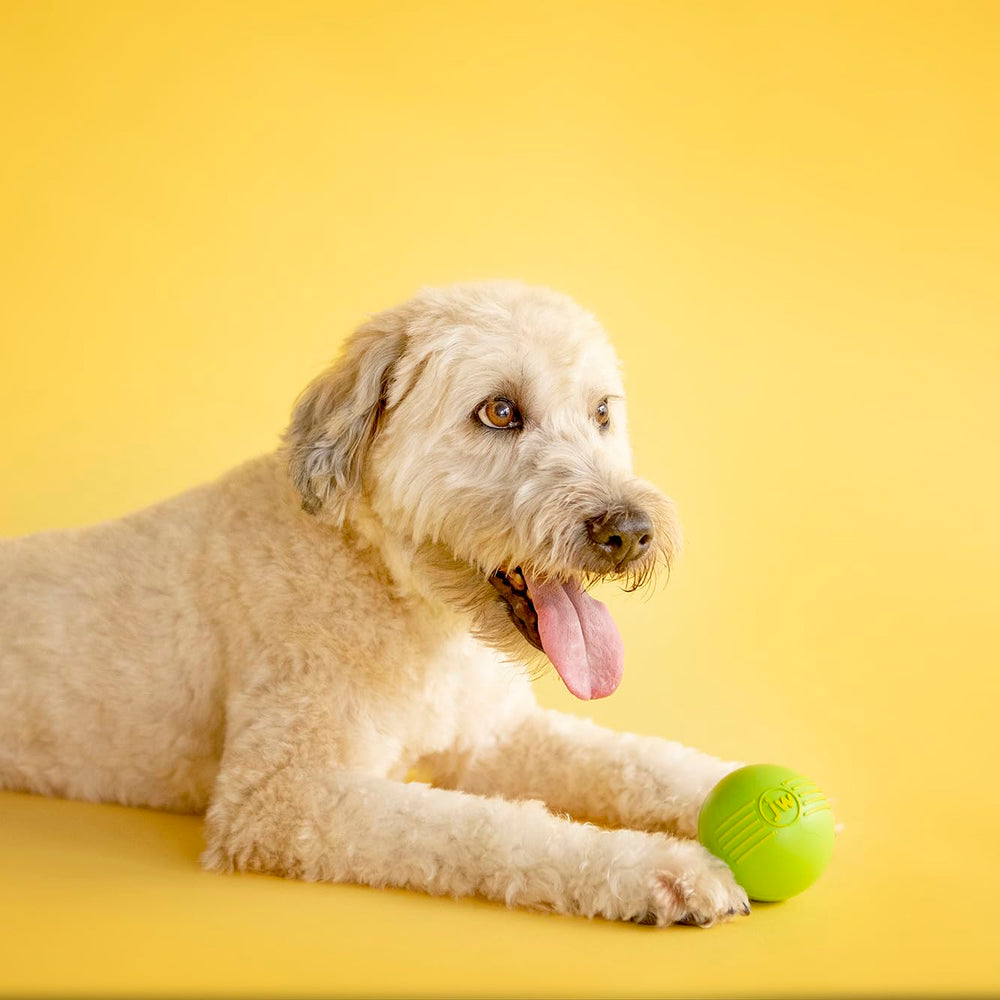 Balle JW Pet sifflement grande noire: durable pour jeux dehors et dedans.