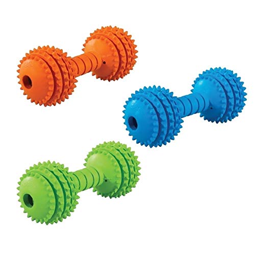 JW Pet Chompion couleurs vives et assorties, facile à repérer lors des jeux