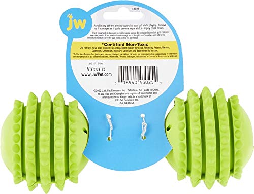 JW Pet Chompion jouet durable pour chiens actifs et mordilleurs