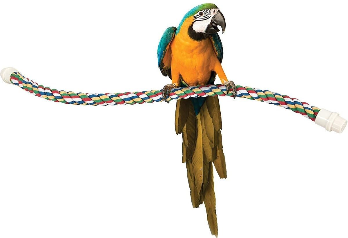 JW Pet Comfy Perch, perchoir coloré dans la cage, stimulant l'exploration.
