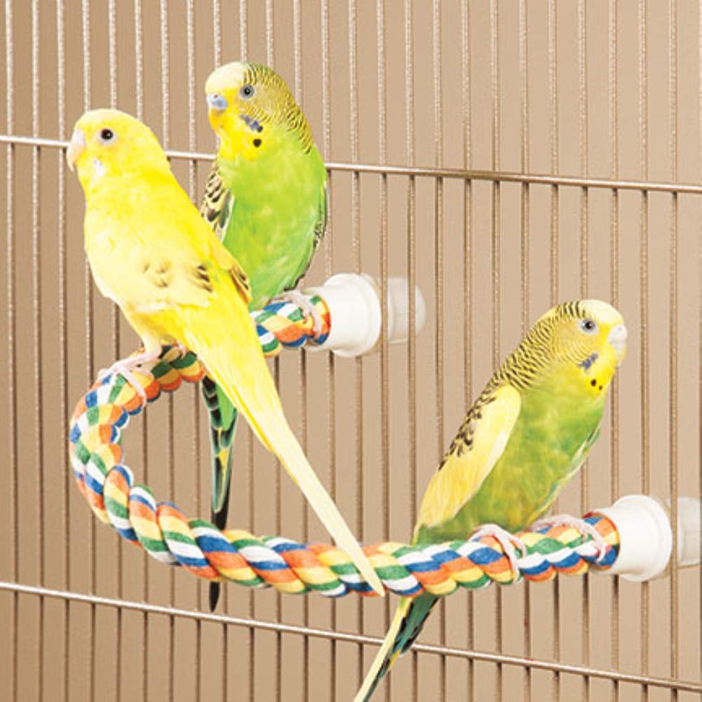 JW Pet Comfy Perch, grip adaptée aux grands oiseaux.