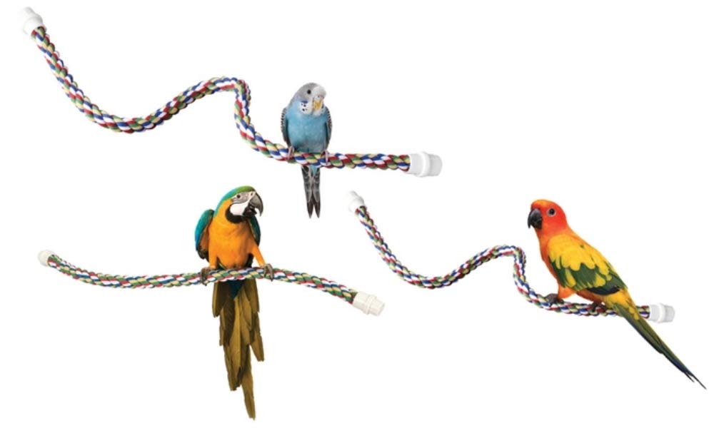 JW Pet Comfy Perch, corde douce offrant un soutien des pieds.