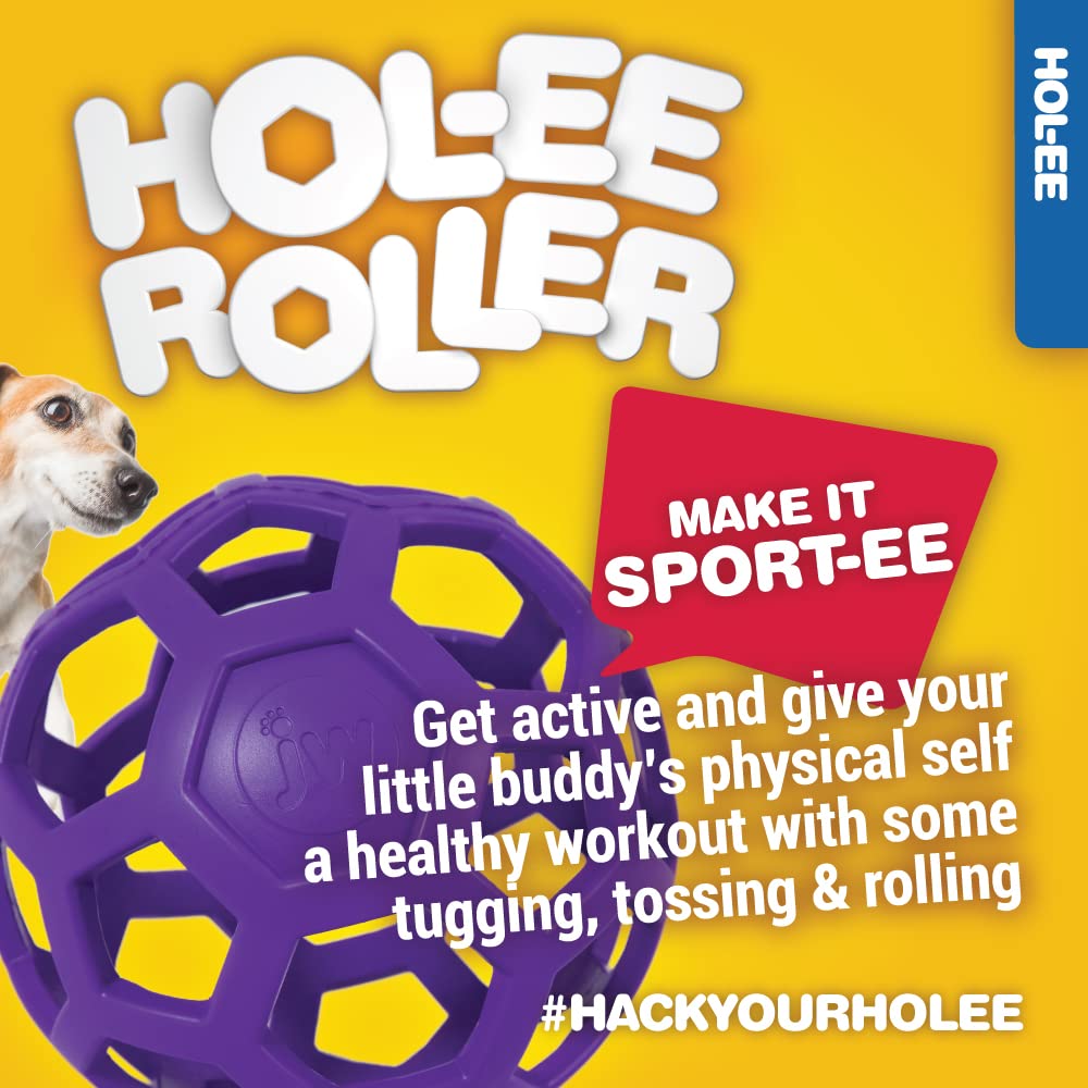 JW Pet Hol-ee Roller balle-puzzle jouet interactif – bon pour l'entraînement et les sessions ludiques