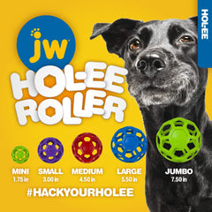 JW Pet Hol-ee Roller balle-puzzle utilisation intérieure et extérieure – parfait pour fetch et enrichissement