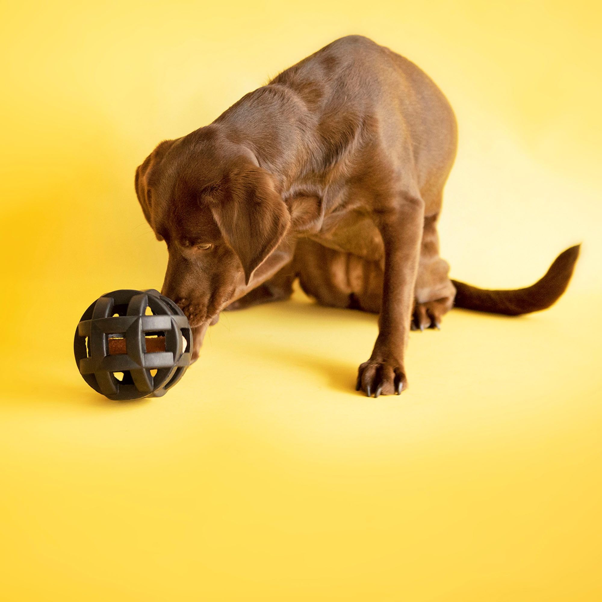 Jouet de tir et rapport JW Hol-ee Roller Extreme pour chiens actifs.