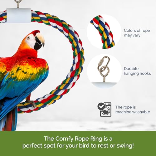 JW Pet Swing N' Perch : couleurs variées ajoutant de l'énergie à la cage