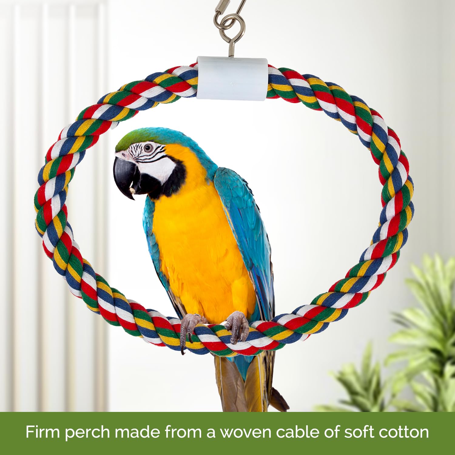JW Pet Swing N' Perch : conçu pour associer repos et activité ludique