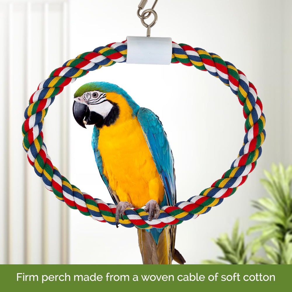 JW Pet Swing N' Perch : conçu pour associer repos et activité ludique