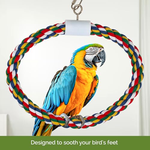 JW Pet Swing N' Perch : crochet de suspension facile à installer dans la cage