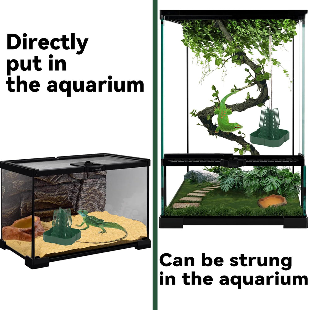 installation simple, montage rapide dans le terrarium.