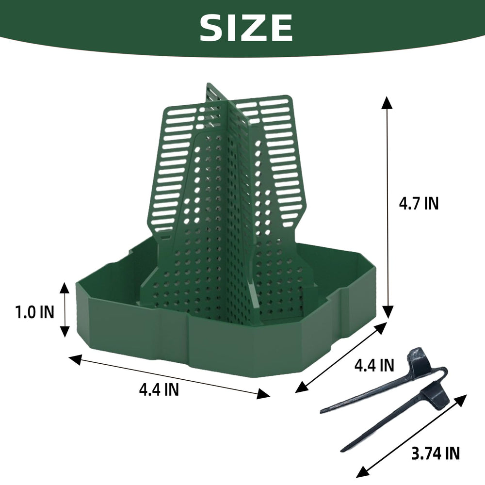 emplacement dans l’aquarium, accès facile et sûr pour le reptile.