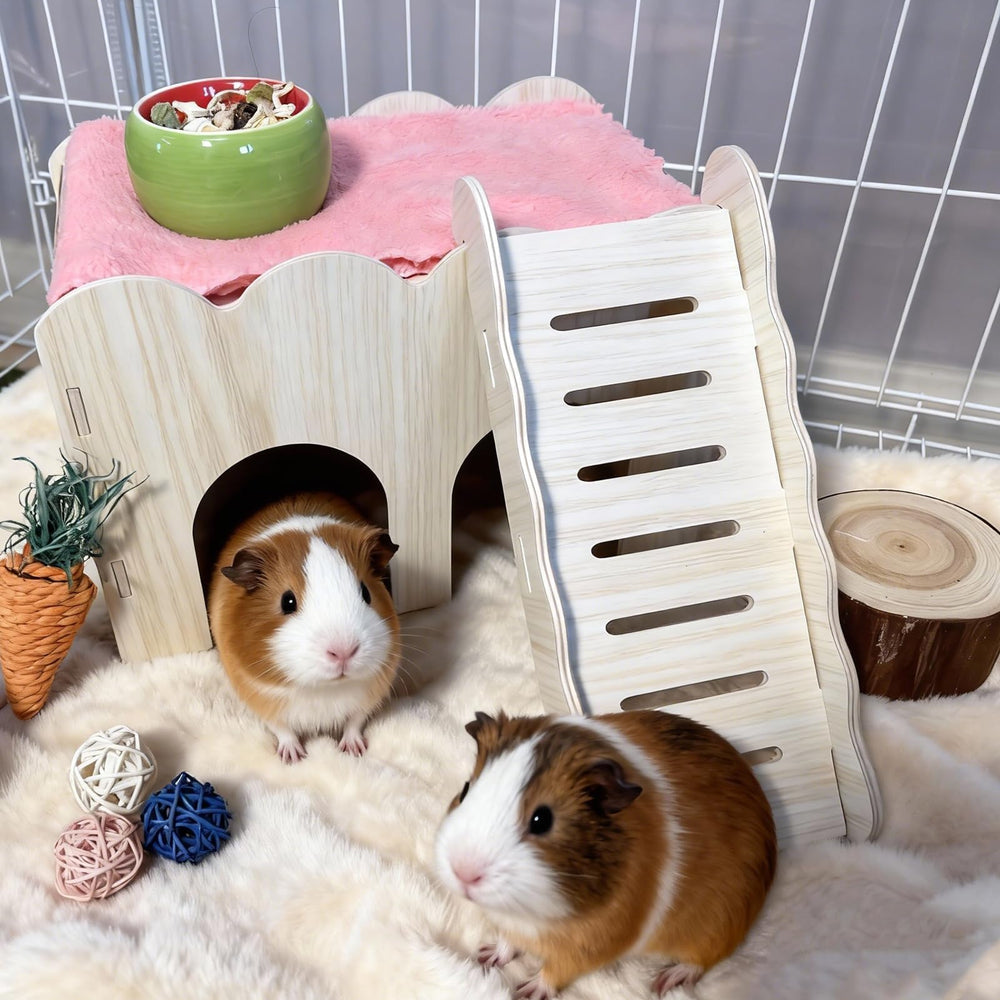 Jwizyotr-habitat-petit-rongeur-ventilation: ventilation efficace pour le bien-être.