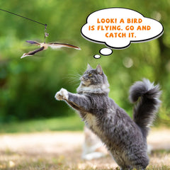 JXFUKAL jouet-chat-poignee-bois-solide favorise prise confortable et durabilité.