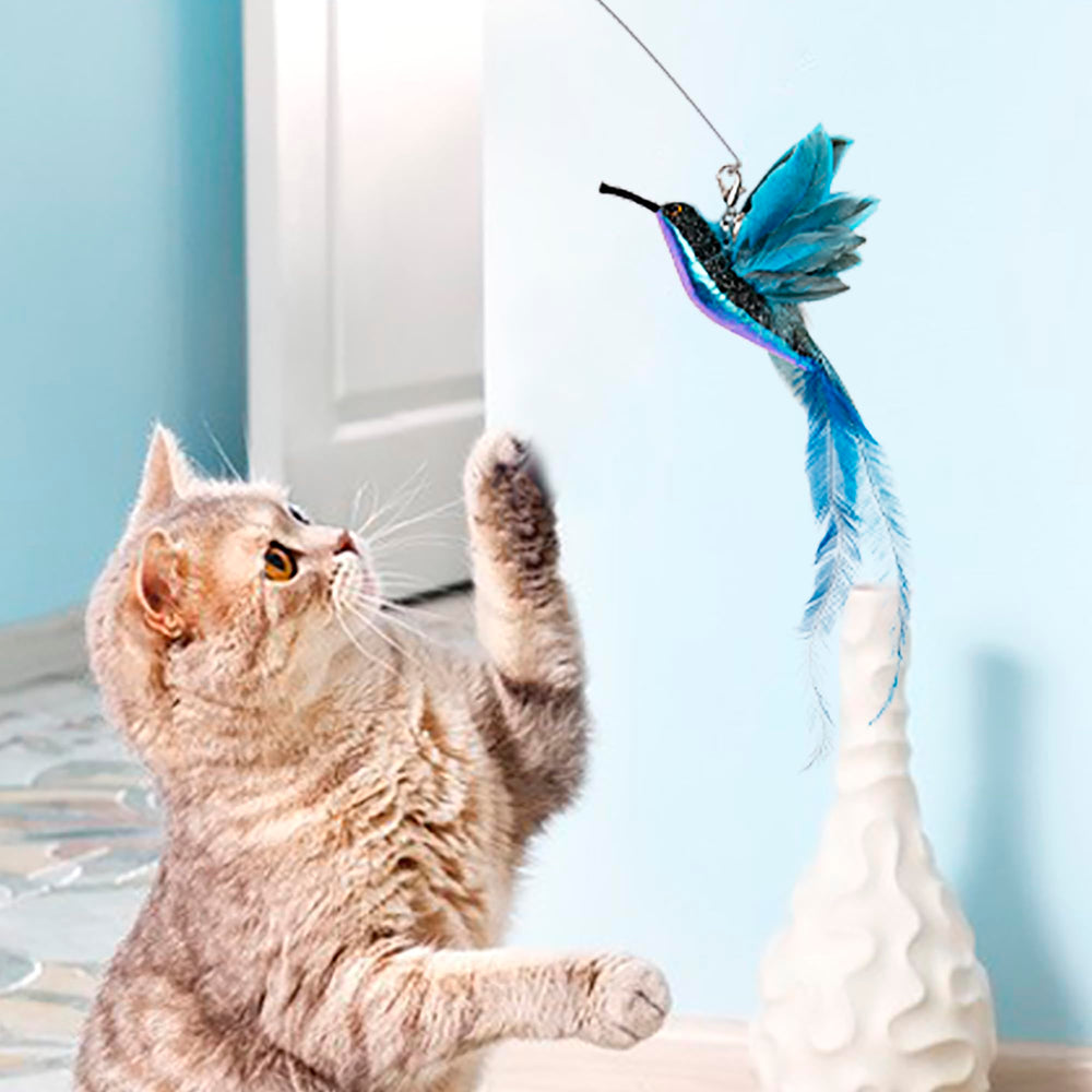 JXFUKAL refills plume souris herbe à chat : réveille museau et regard.