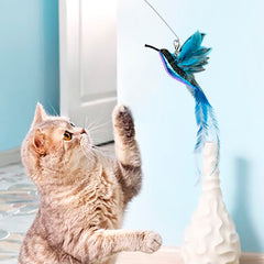 JXFUKAL refills plume souris herbe à chat : réveille museau et regard.