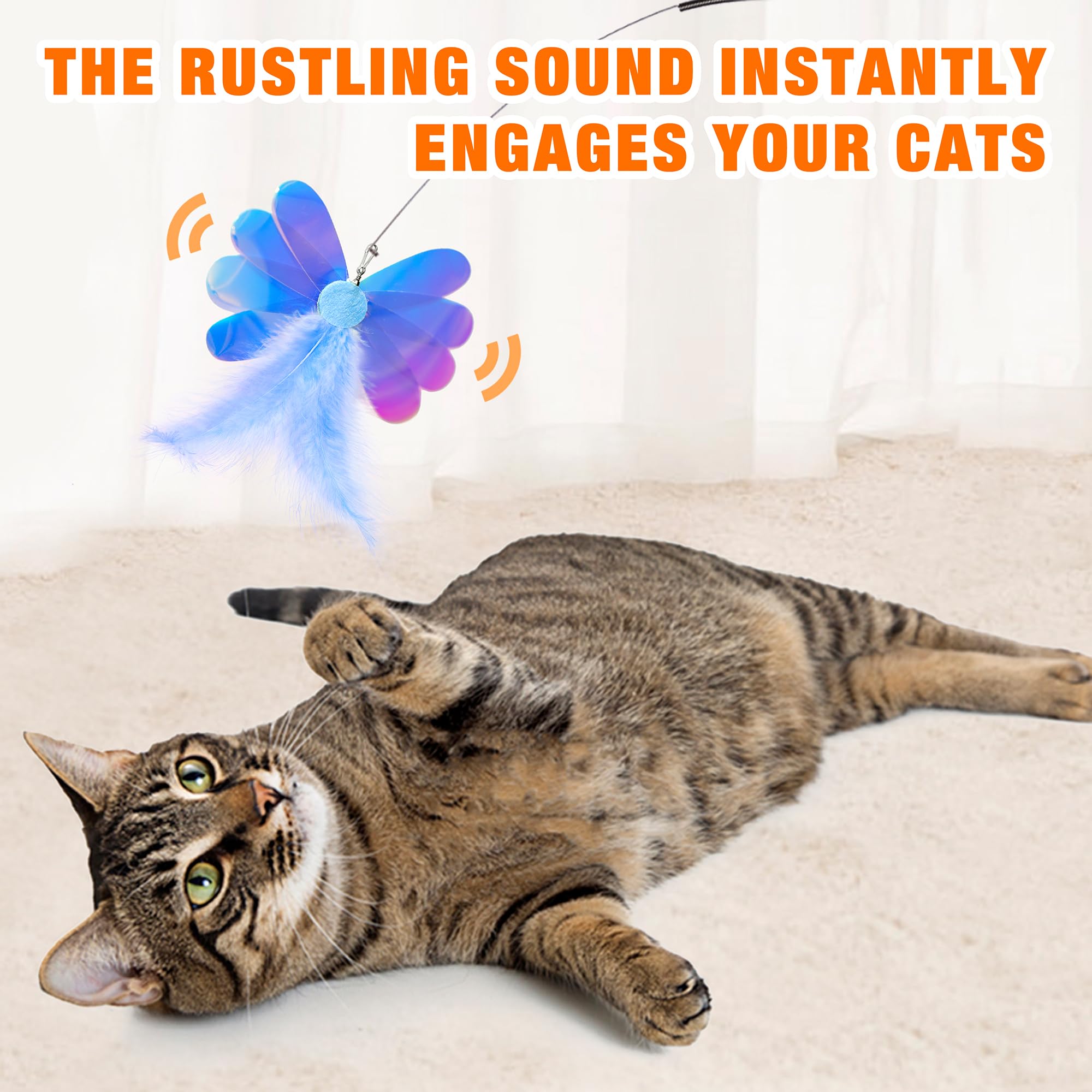 JXFUKAL refills plumes chat libellule : curiosité et exercice