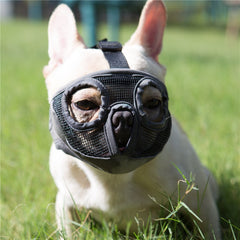 Muzzle JYHY sur chien museau court avec maille respirante