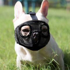 JYHY muselière pour chien, maille respirante, avant, confort lors des promenades.