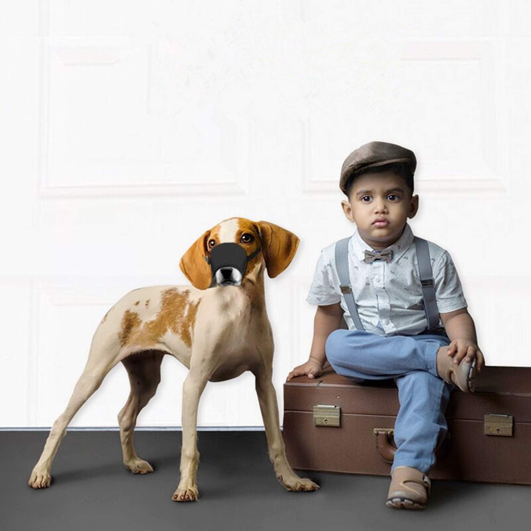 Muserelles JYHY noir, design durable et facile à ajuster pour chiens actifs.