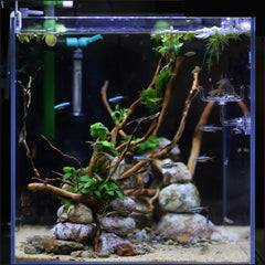 JZMYXA plat d’alimentation en acrylique transparent, matériau durable.