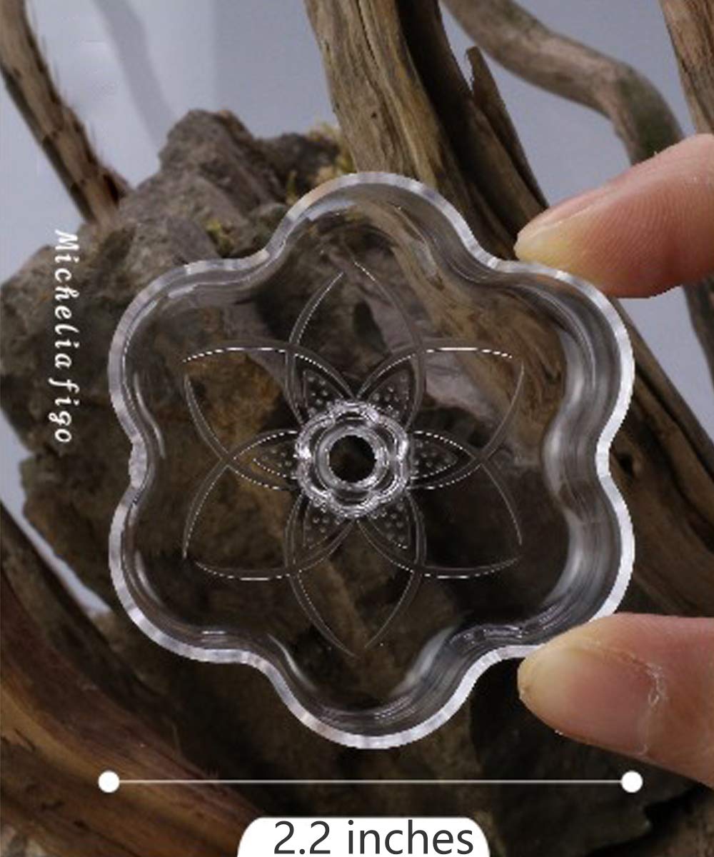 JZMYXA plat d’alimentation mini taille pour petits poissons.