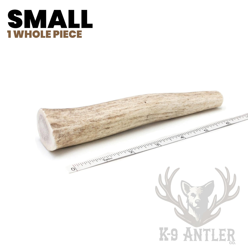 K-9 Antler Co. Corne de cerf divisée – idéale pour chiots et chiens modérés.