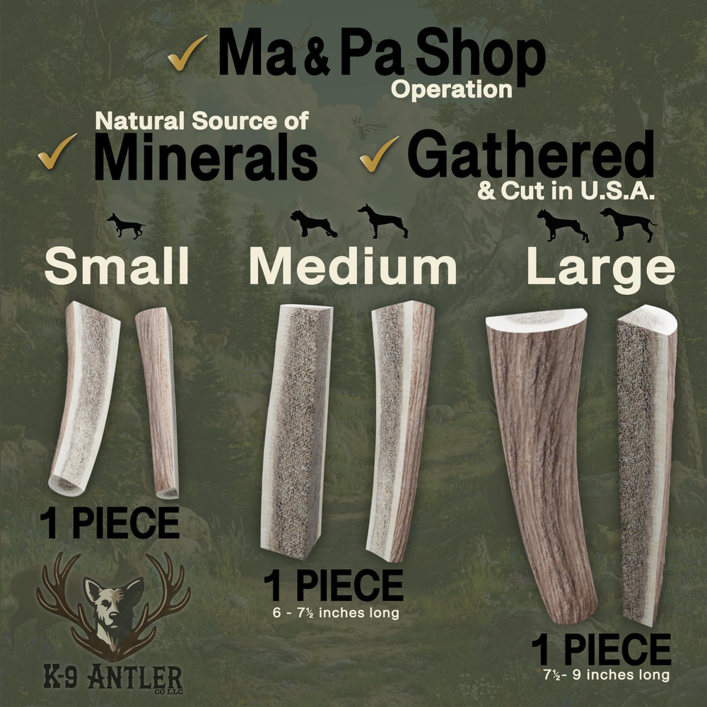 K-9 Antler Co. – Illustration montrant l’utilisation pour chiens de taille moyenne.