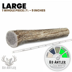 K-9 Antler Co. moelle scellée, maintenance naturelle et longue session de mastication.