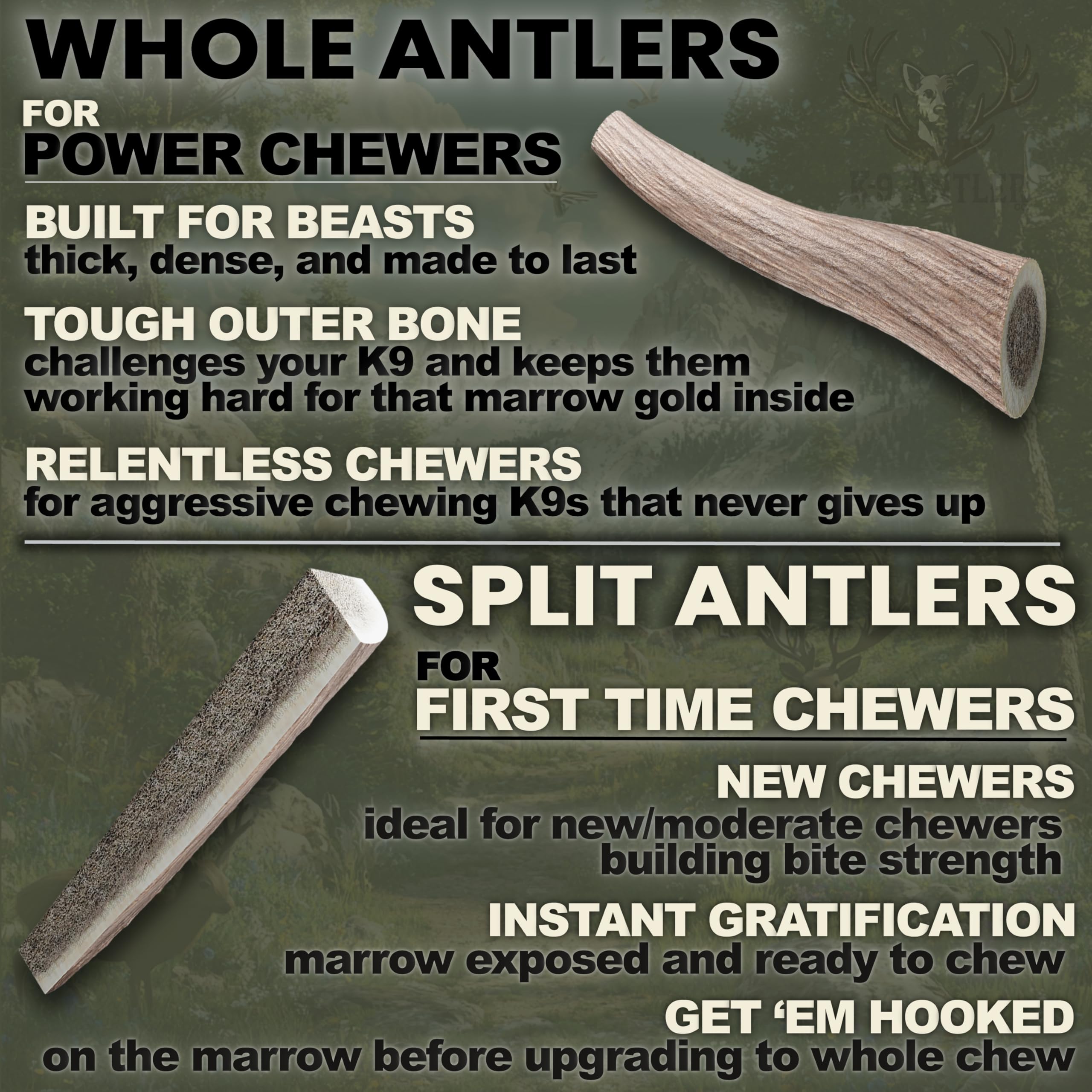 K-9 Antler Co. – Morceau de corne de cerf, option pratique pour chiens moyens.