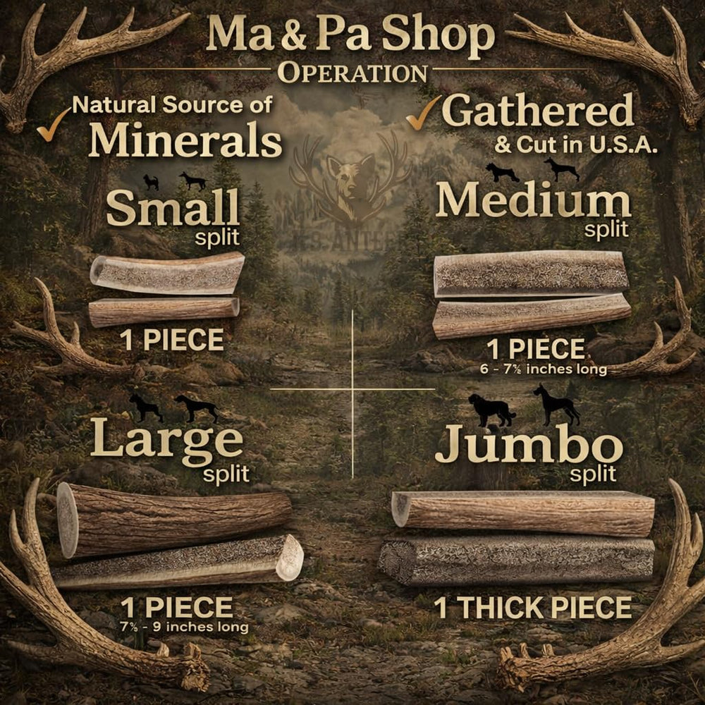 K-9 Antler Co, éclat d’élan petit, mastic durable et naturel pour chiens de petite taille.