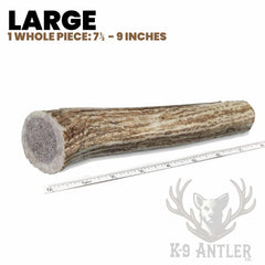 K-9 Antler Co. os de cerf entier avec moelle, mordeurs forts apprécient.