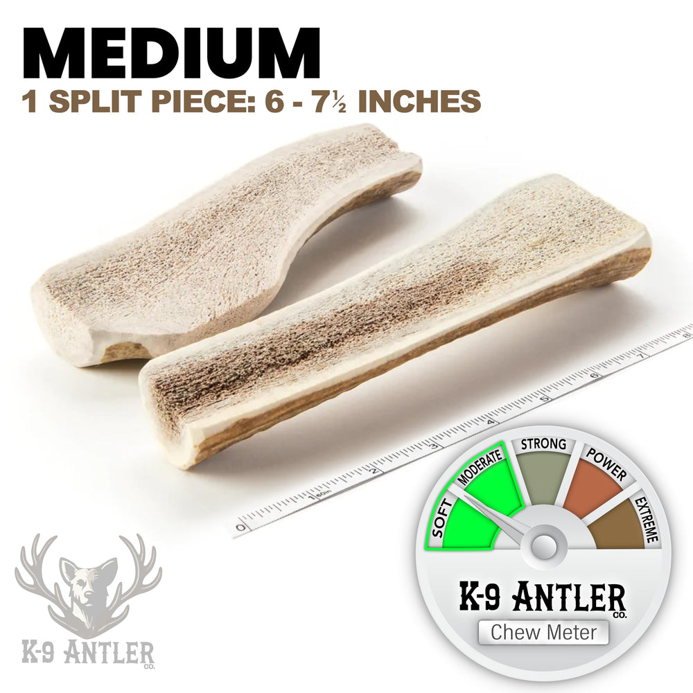 K-9 Antler Co. tranche-elan-petite: portion durable pour chiens moyens.