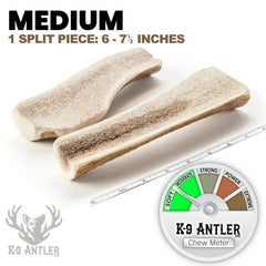 K-9 Antler Co. tranche-elan-petite: portion durable pour chiens moyens.