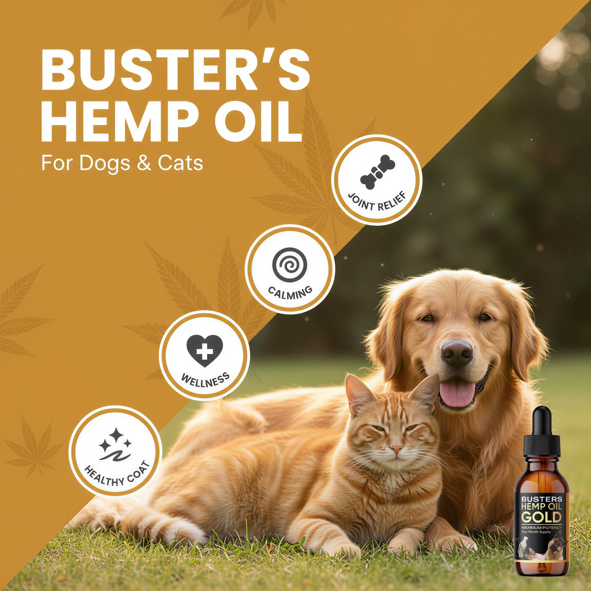 Flacon Buster's Gold 60 ml, format pratique pour dosage