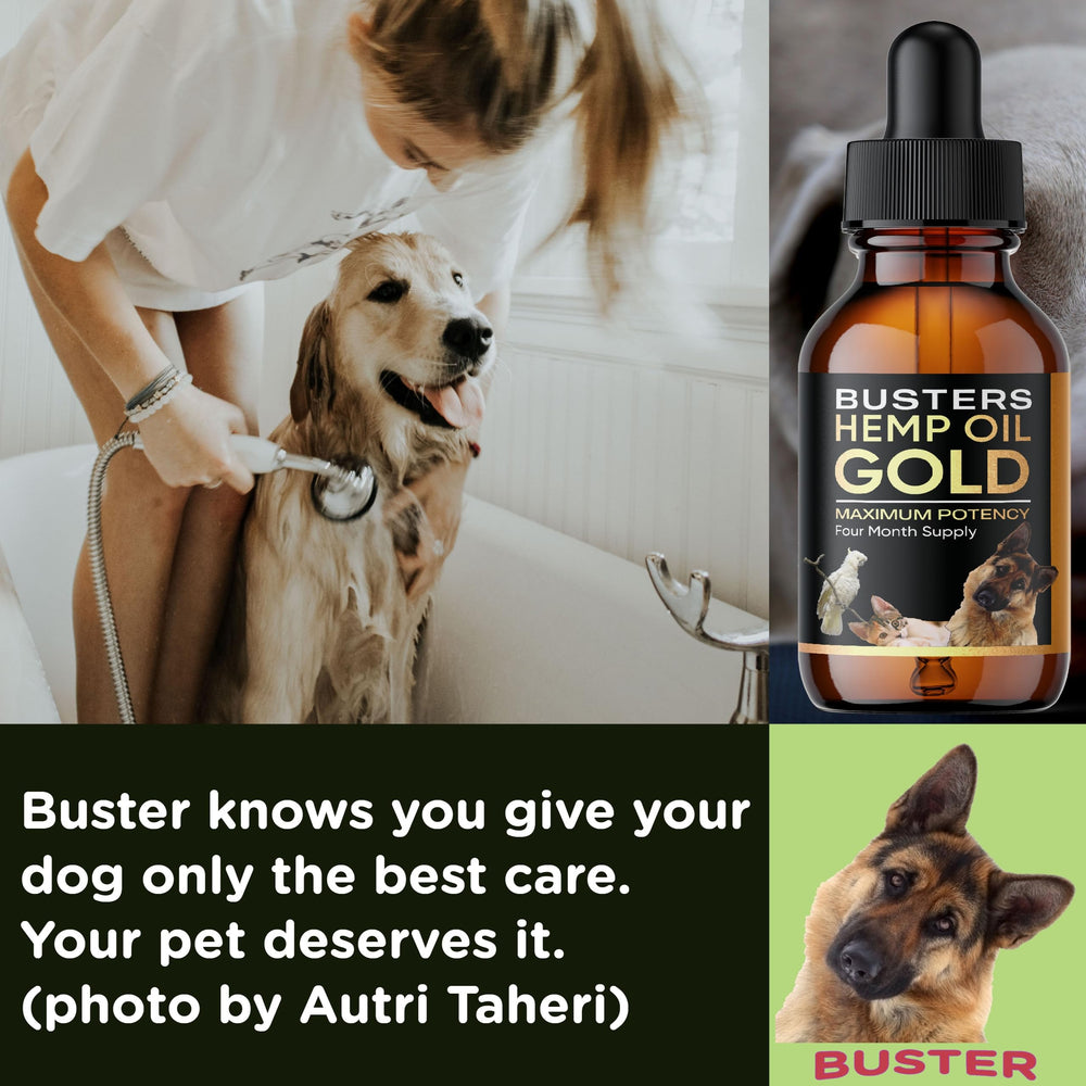 Pack double Buster's Gold, approvisionnement pour plusieurs mois
