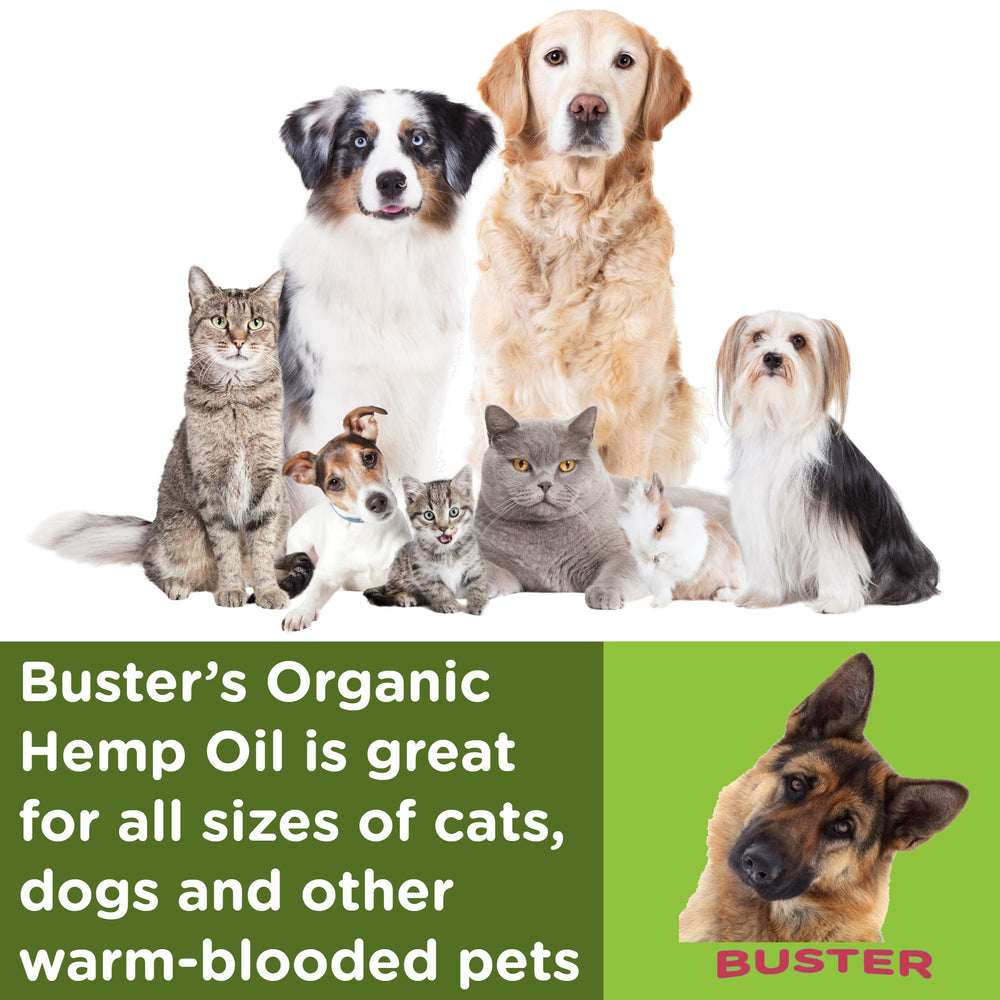 Gouttes K2xLabs Busters – flacon pratique pour chiens et chats et routine naturelle